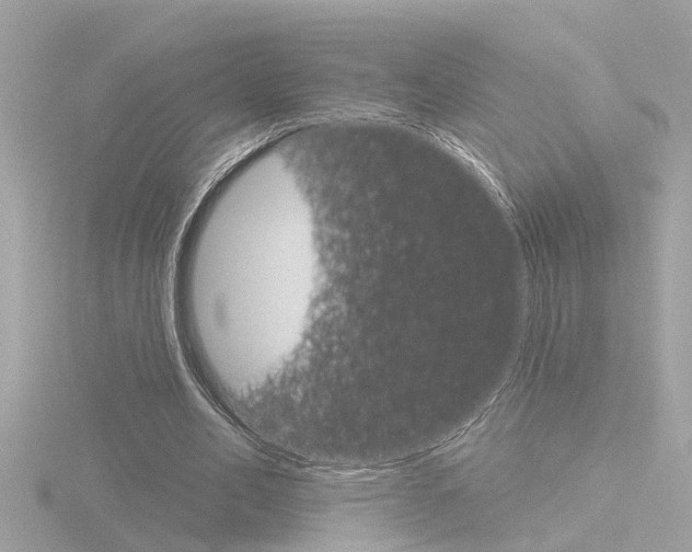 X0000116810582200912181056