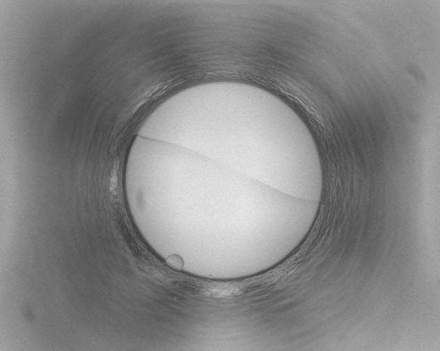 X0000116810595200912181056