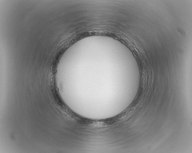 X0000116810609200912181055