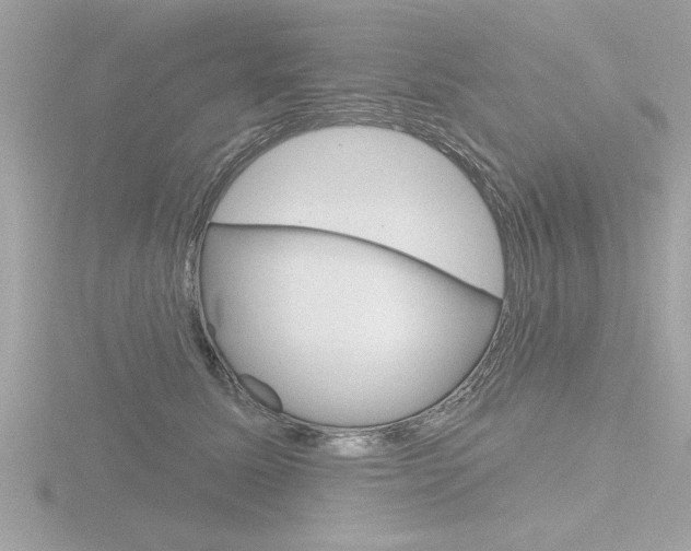 X0000116810611200912181055