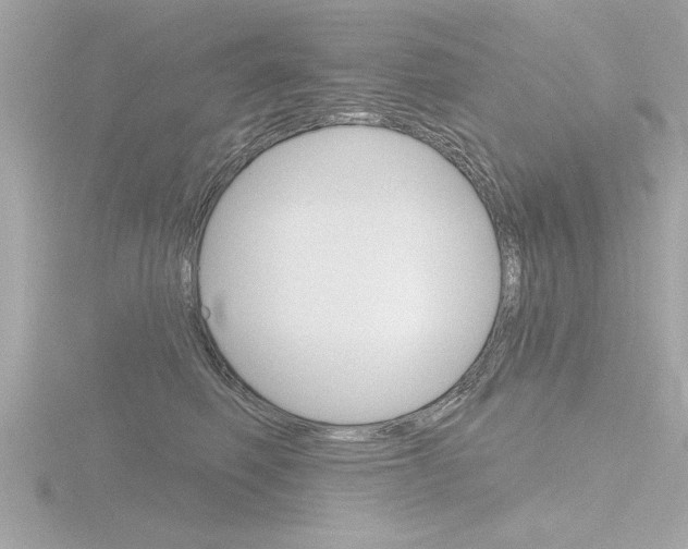 X0000116810614200912181055