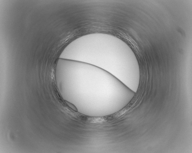 X0000116810621200912181055