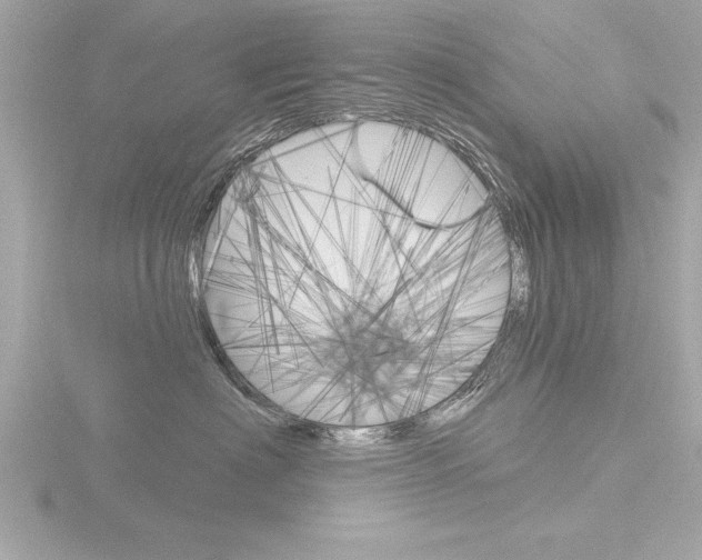 X0000116810622200912181055