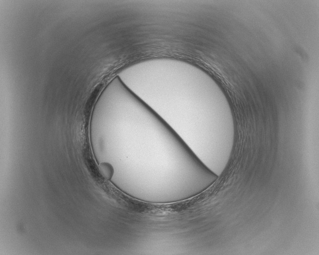 X0000116810642200912181055