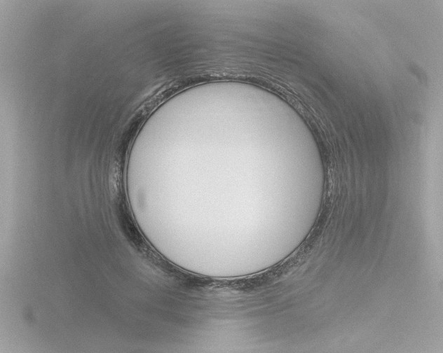 X0000116810648200912181055