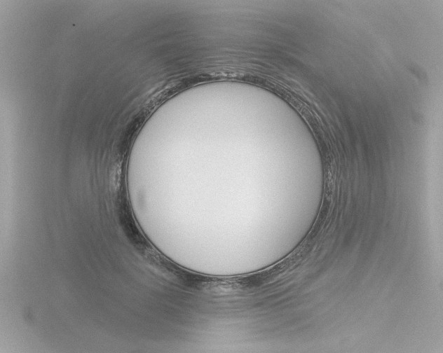 X0000116810652200912181055