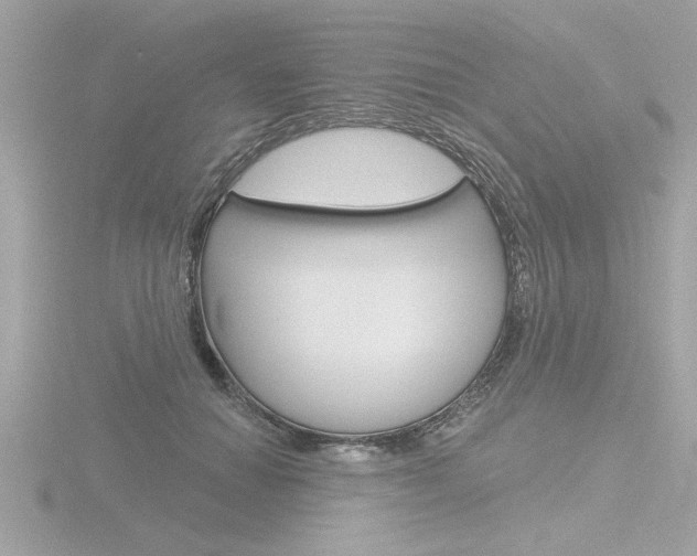 X0000116810654200912181055