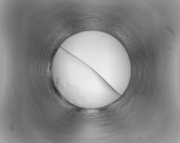 X0000116810670200912181055