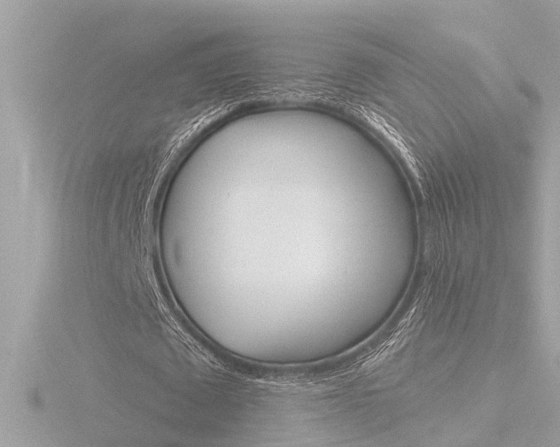 X0000116810673200912181055