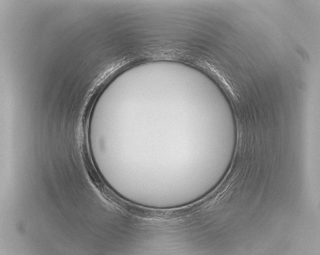 X0000116810674200912181055