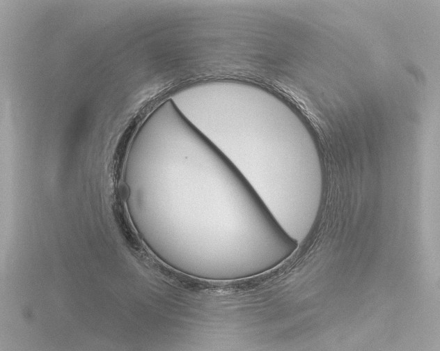 X0000116810687200912181054