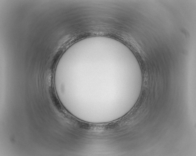 X0000116810694200912181054