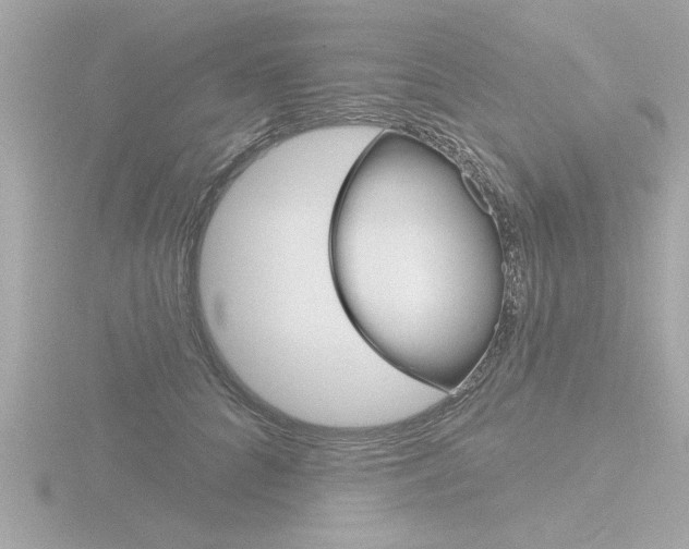 X0000116810704200912181054