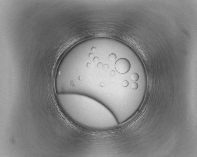 X0000116810721200912181053