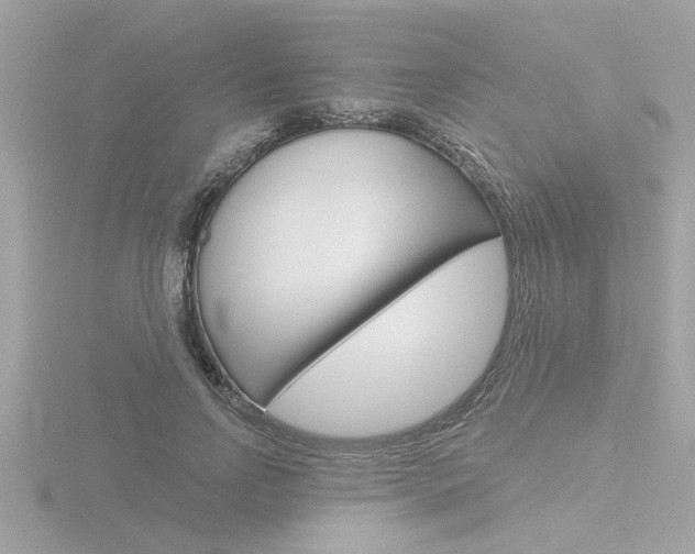 X0000116810742200912181054