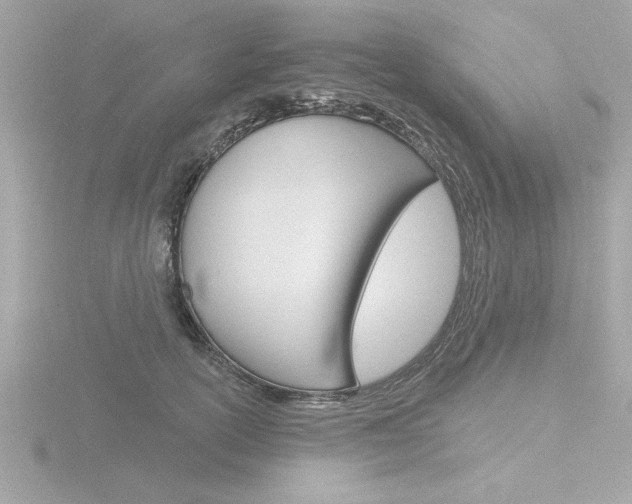 X0000116810754200912181054