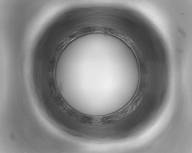 X0000116810766200912181054