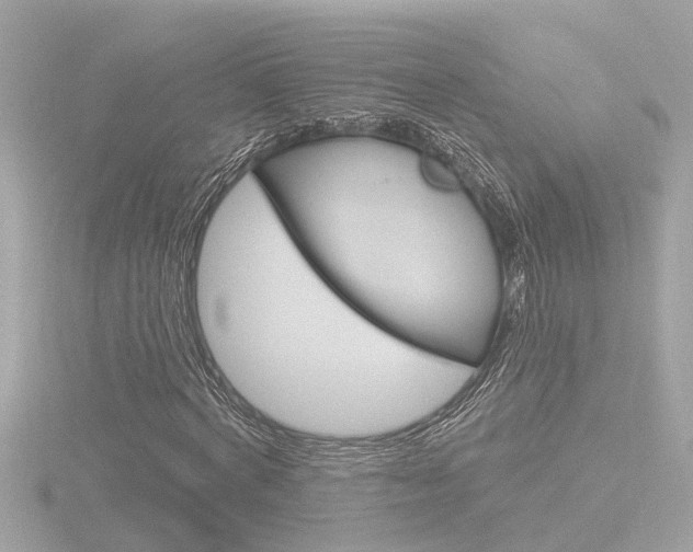 X0000116810772200912181053