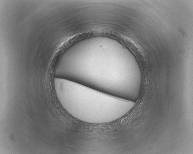 X0000116810776200912181053