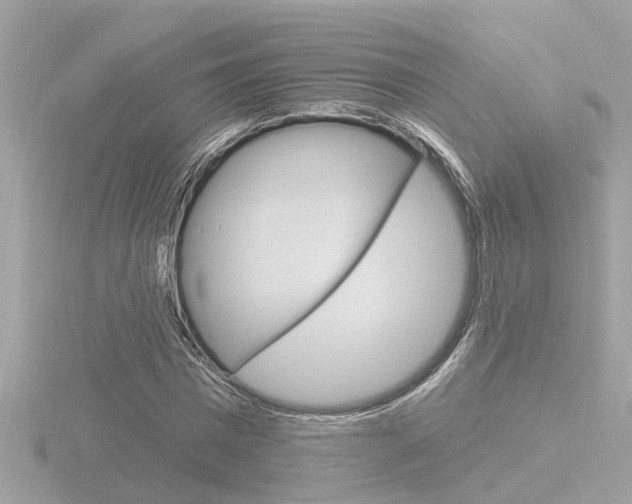 X0000116810777200912181053
