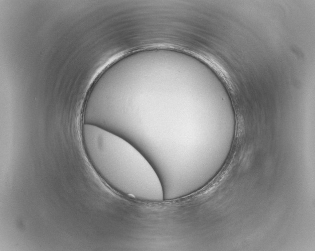 X0000116810806200912181053