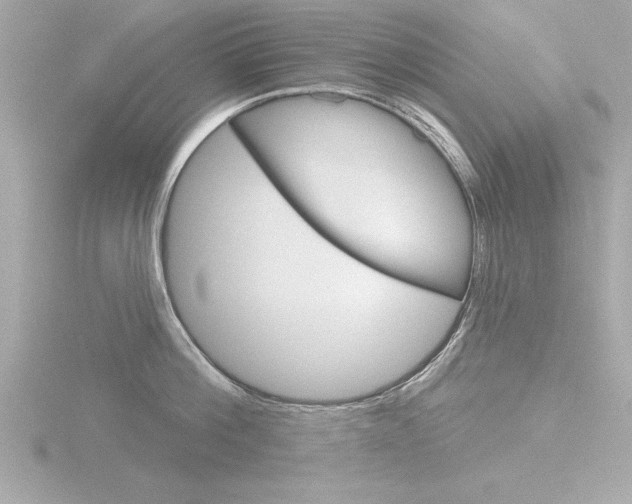 X0000116810812200912181053