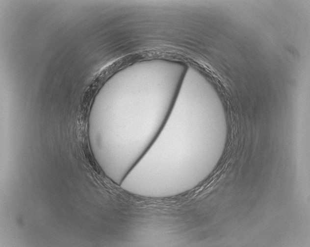 X0000116810822200912181052