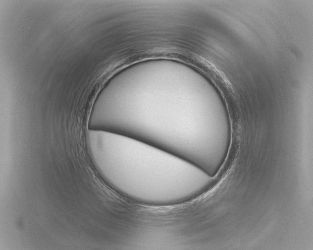 X0000116810825200912181052