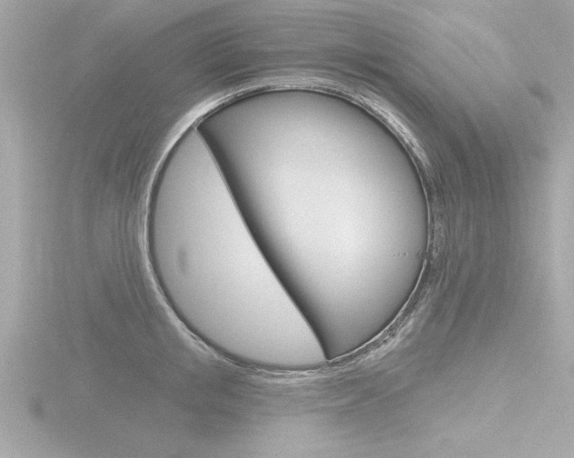 X0000116810853200912181052