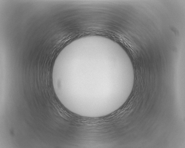 X0000116810868200912181052