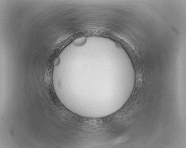 X0000116810869200912181052