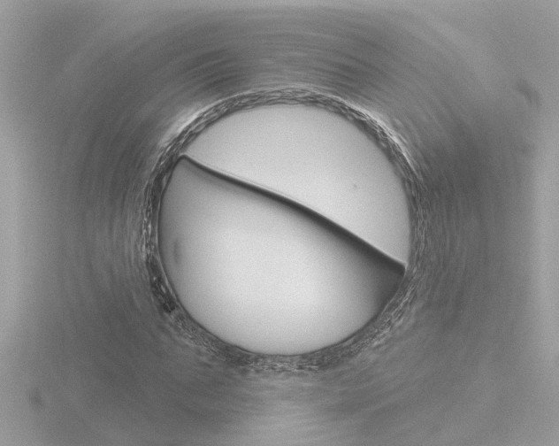 X0000116810871200912181052