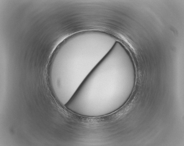 X0000116810875200912181052