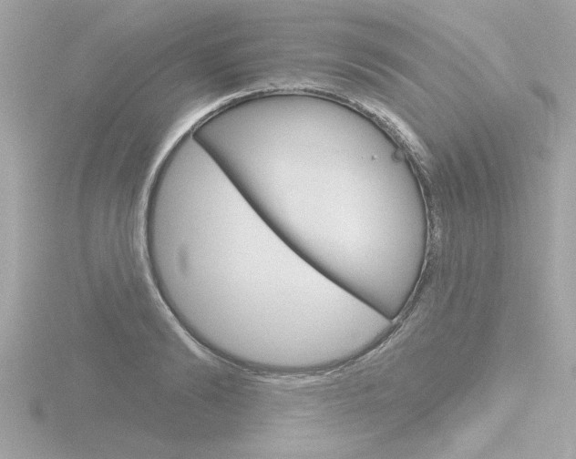 X0000116810894200912181051