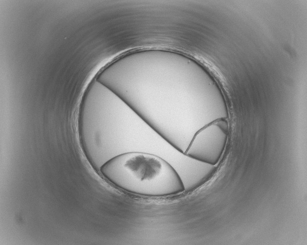 X0000116810941200912181051