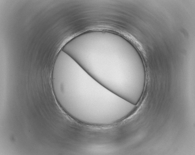 X0000116810945200912181051