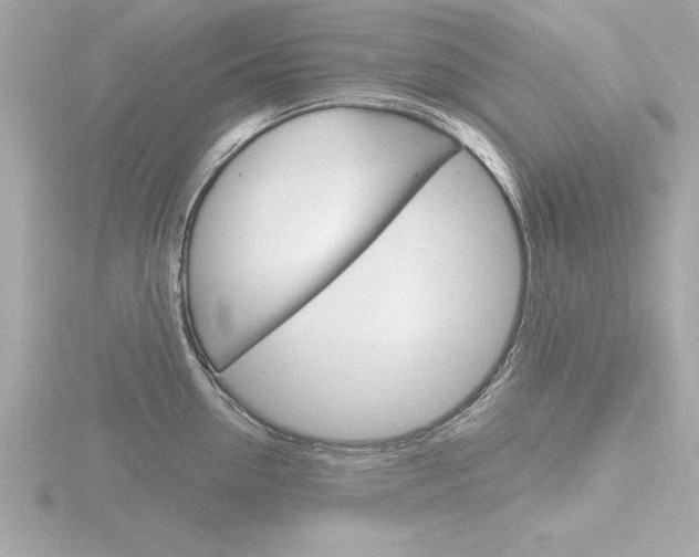 X0000116810954200912181051