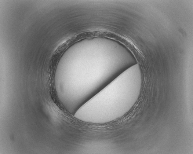 X0000116810967200912181050