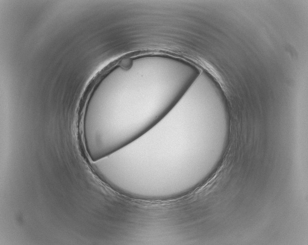 X0000116811020200912181049