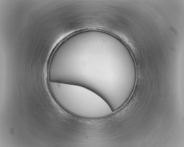 X0000116811032200912181049