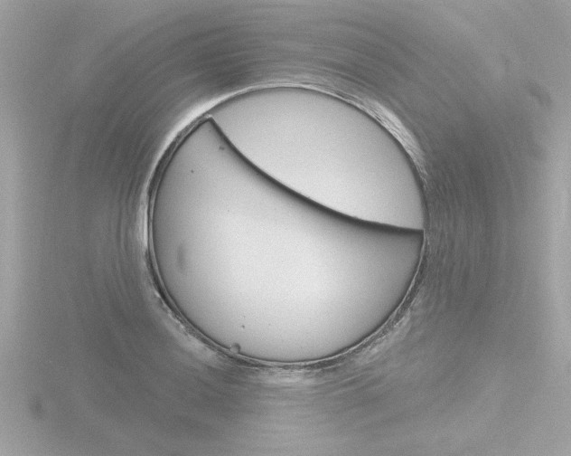 X0000116811036200912181049