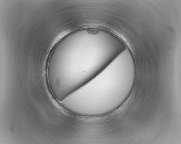 X0000116811042200912181049