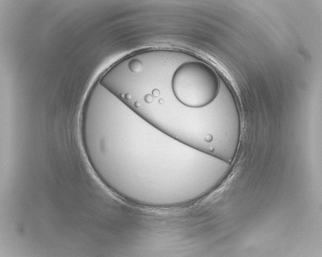 X0000116811045200912181049