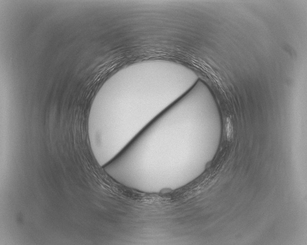X0000116811059200912181049