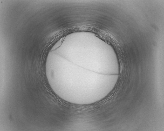 X0000116811062200912181049