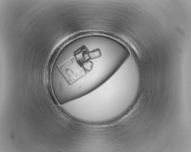 X0000116811069200912181049
