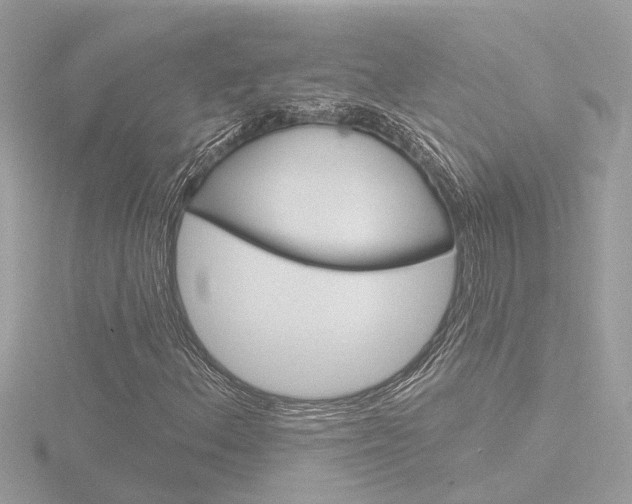X0000116811156200912181048