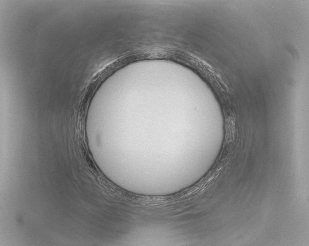 X0000116811158200912181048