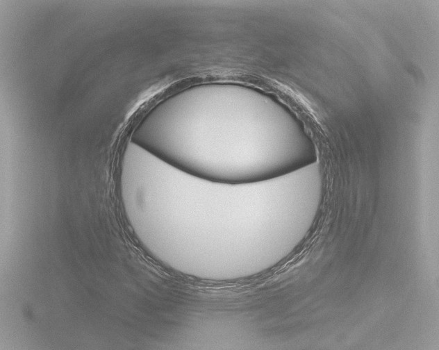 X0000116811160200912181048