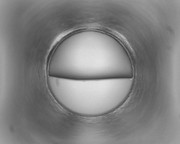 X0000116811176200912181047